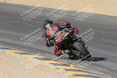 media/Nov-12-2023-SoCal Trackdays (Sun) [[5d1fba4e7d]]/Turn 10 Backside (115pm)/